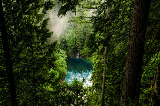 Bohemian Outdoor Soundscape